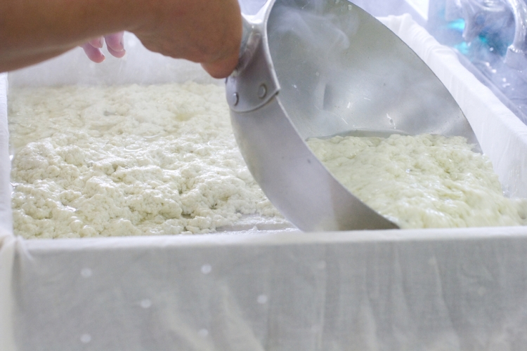 豆腐作りにおけるにがりの使い方|あまり知られていないにがり活用法も紹介